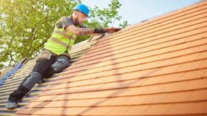 Best Rubber Roofing (EPDM, TPO)  in Brown City, MI