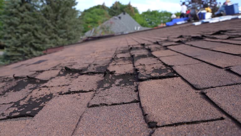 Best Sheet Metal Roofing  in Brown City, MI