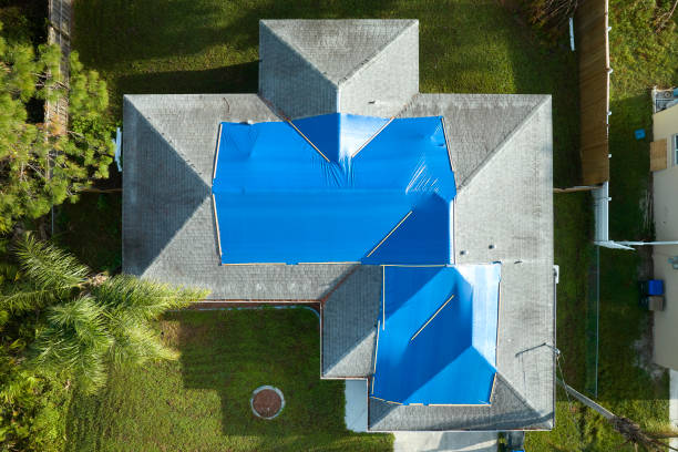 Best Asphalt Shingle Roofing  in Brown City, MI