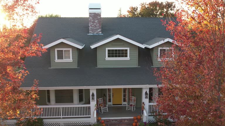 Best Solar Panel Roofing Installation  in Brown City, MI