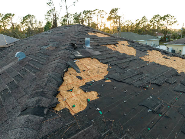 Best Roof Installation  in Brown City, MI