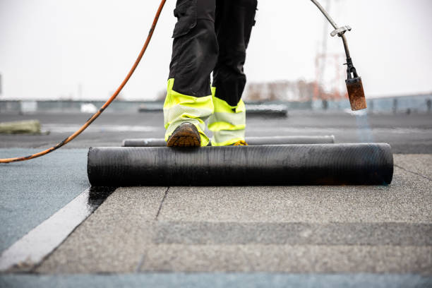 Professional Roofing in Brown City, MI