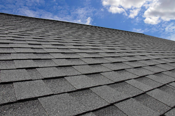 Best Wood Shake Roofing  in Brown City, MI